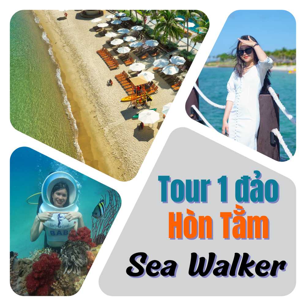 Tour 1 đảo Hòn Tằm Sea Walker